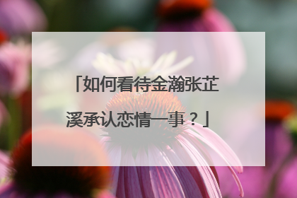 如何看待金瀚张芷溪承认恋情一事?