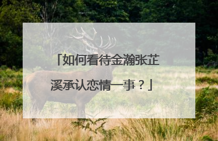 如何看待金瀚张芷溪承认恋情一事？