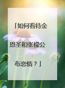 如何看待金恩圣和张檬公布恋情？