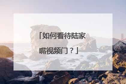 如何看待陆家嘴视频门?