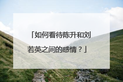 如何看待陈升和刘若英之间的感情？