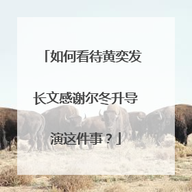 如何看待黄奕发长文感谢尔冬升导演这件事?