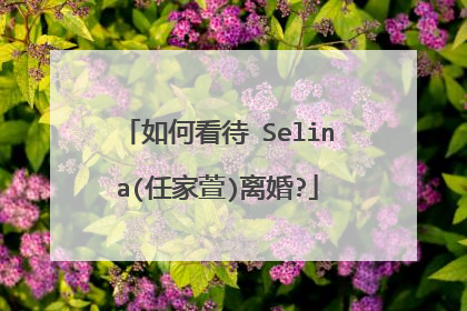 如何看待 Selina(任家萱)离婚?