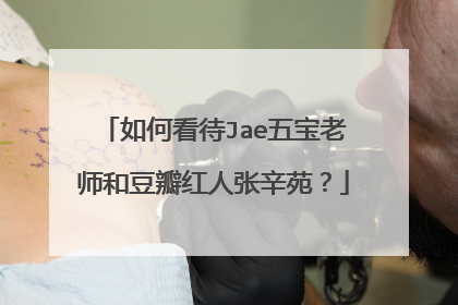 如何看待Jae五宝老师和豆瓣红人张辛苑？