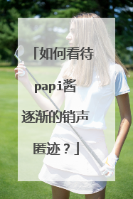 如何看待papi酱逐渐的销声匿迹？