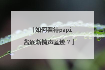 如何看待papi酱逐渐销声匿迹？
