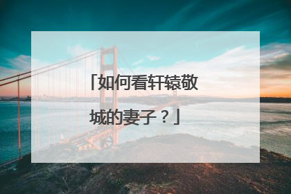 如何看轩辕敬城的妻子?