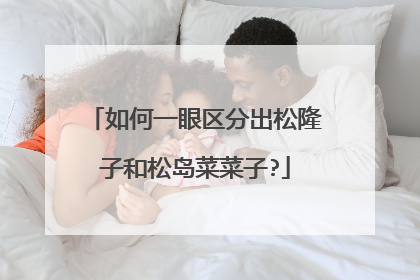 如何一眼区分出松隆子和松岛菜菜子?