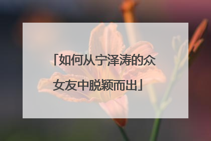 如何从宁泽涛的众女友中脱颖而出
