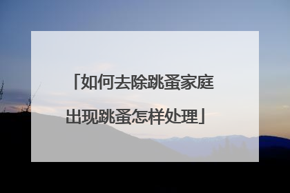 如何去除跳蚤家庭出现跳蚤怎样处理