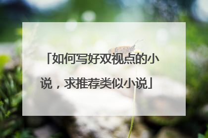 如何写好双视点的小说，求推荐类似小说