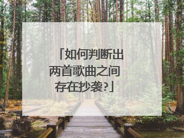 如何判断出两首歌曲之间存在抄袭?