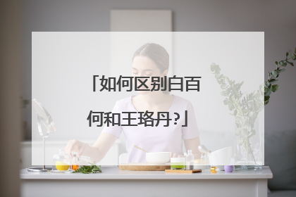 如何区别白百何和王珞丹?