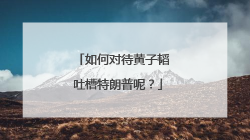 如何对待黄子韬吐槽特朗普呢?