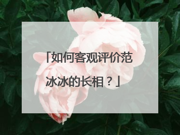 如何客观评价范冰冰的长相？