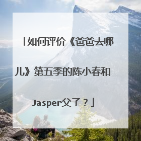 如何评价《爸爸去哪儿》第五季的陈小春和Jasper父子?