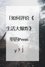 如何评价《生活大爆炸》里的Penny？
