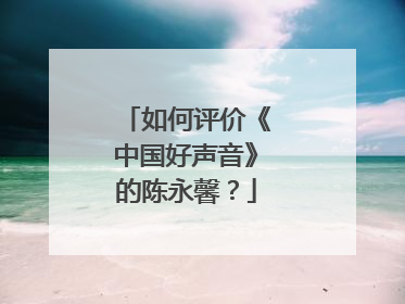 如何评价《中国好声音》的陈永馨？