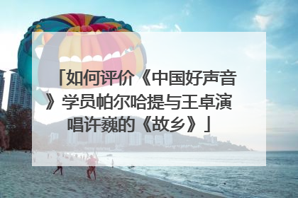 如何评价《中国好声音》学员帕尔哈提与王卓演唱许巍的《故乡》
