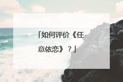 如何评价《任意依恋》？