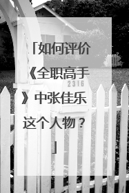 如何评价《全职高手》中张佳乐这个人物？