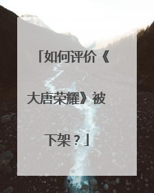 如何评价《大唐荣耀》被下架？