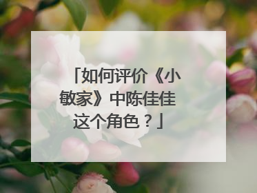 如何评价《小敏家》中陈佳佳这个角色？