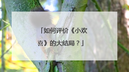 如何评价《小欢喜》的大结局？