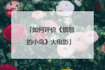 如何评价《愤怒的小鸟》大电影