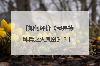 如何评价《我是特种兵之火凤凰》?