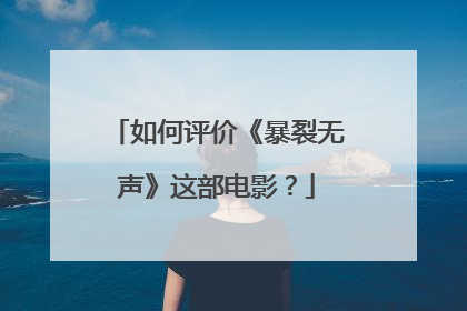 如何评价《暴裂无声》这部电影？