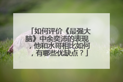 如何评价《最强大脑》中余奕沛的表现，他和水哥相比如何，有哪些优缺点？