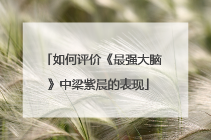 如何评价《最强大脑》中梁紫晨的表现