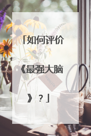 如何评价《最强大脑》？