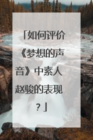 如何评价《梦想的声音》中素人赵骏的表现？