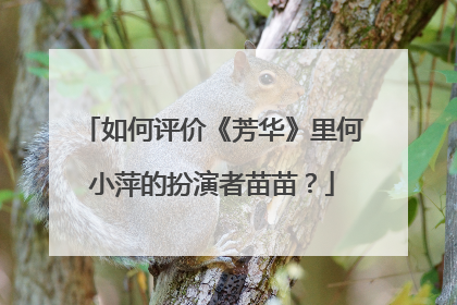 如何评价《芳华》里何小萍的扮演者苗苗？