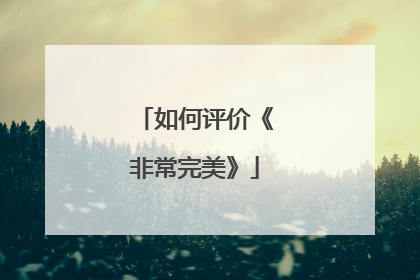 如何评价《非常完美》