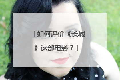 如何评价《长城》这部电影?