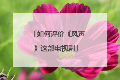 如何评价《风声》这部电视剧