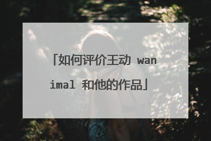 如何评价王动 wanimal 和他的作品