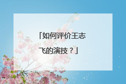 如何评价王志飞的演技？