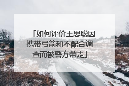 如何评价王思聪因携带弓箭和不配合调查而被警方带走
