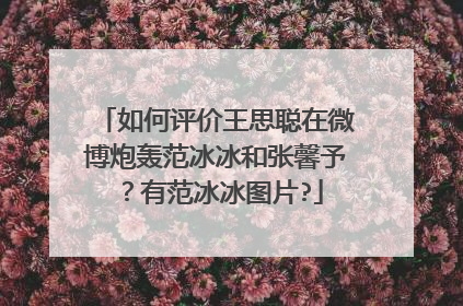 如何评价王思聪在微博炮轰范冰冰和张馨予?有范冰冰图片?