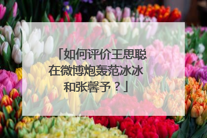 如何评价王思聪在微博炮轰范冰冰和张馨予?