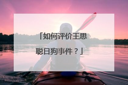 如何评价王思聪日狗事件？