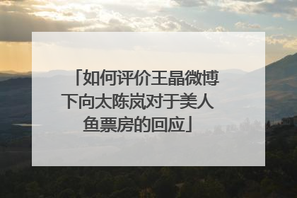如何评价王晶微博下向太陈岚对于美人鱼票房的回应