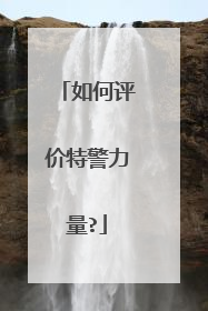 如何评价特警力量?