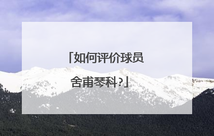 如何评价球员舍甫琴科?