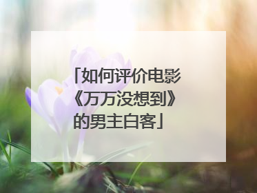 如何评价电影《万万没想到》的男主白客