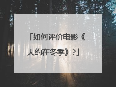 如何评价电影《大约在冬季》?